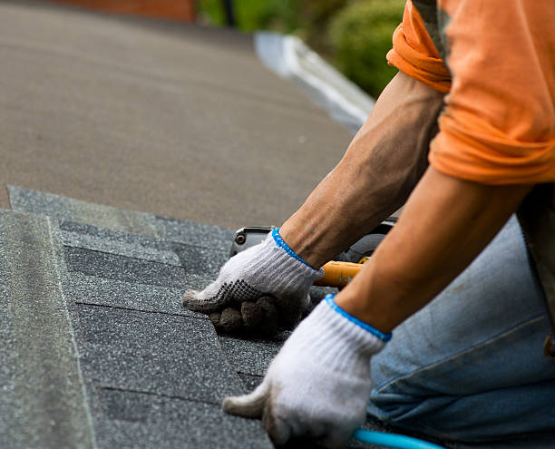 Best Best Roofing Contractors  in Campbellsville, KY
